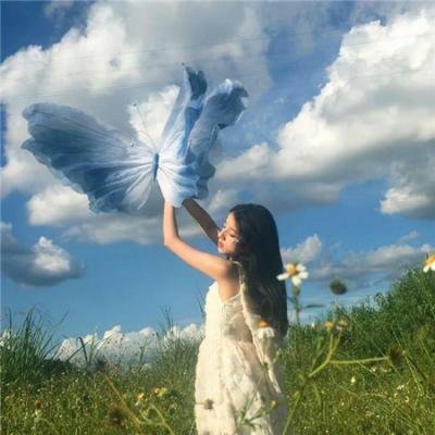 傲骨之战第六季